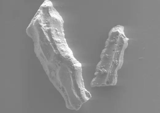 33T3C